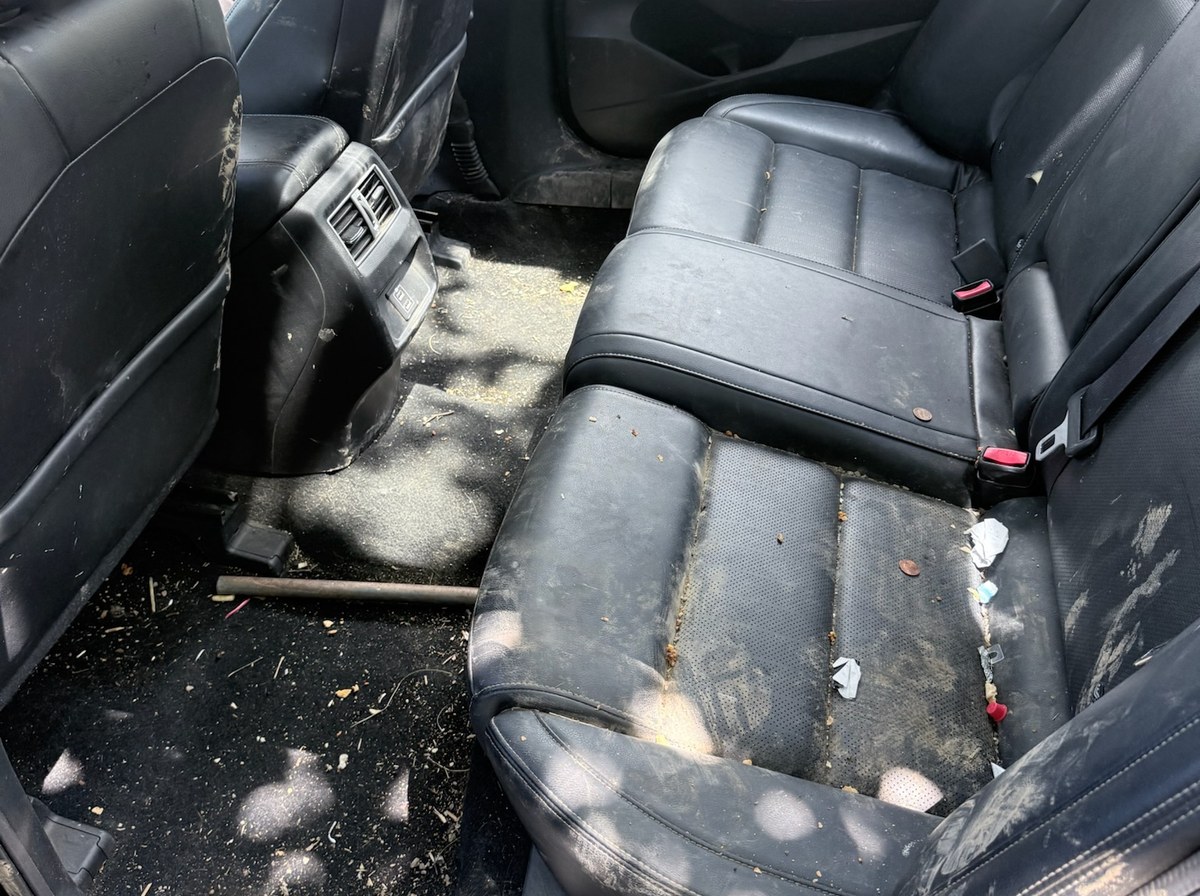 Before — Nissan Maxima back seat interior detail
