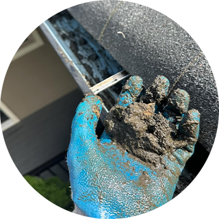 Gutter Cleaning