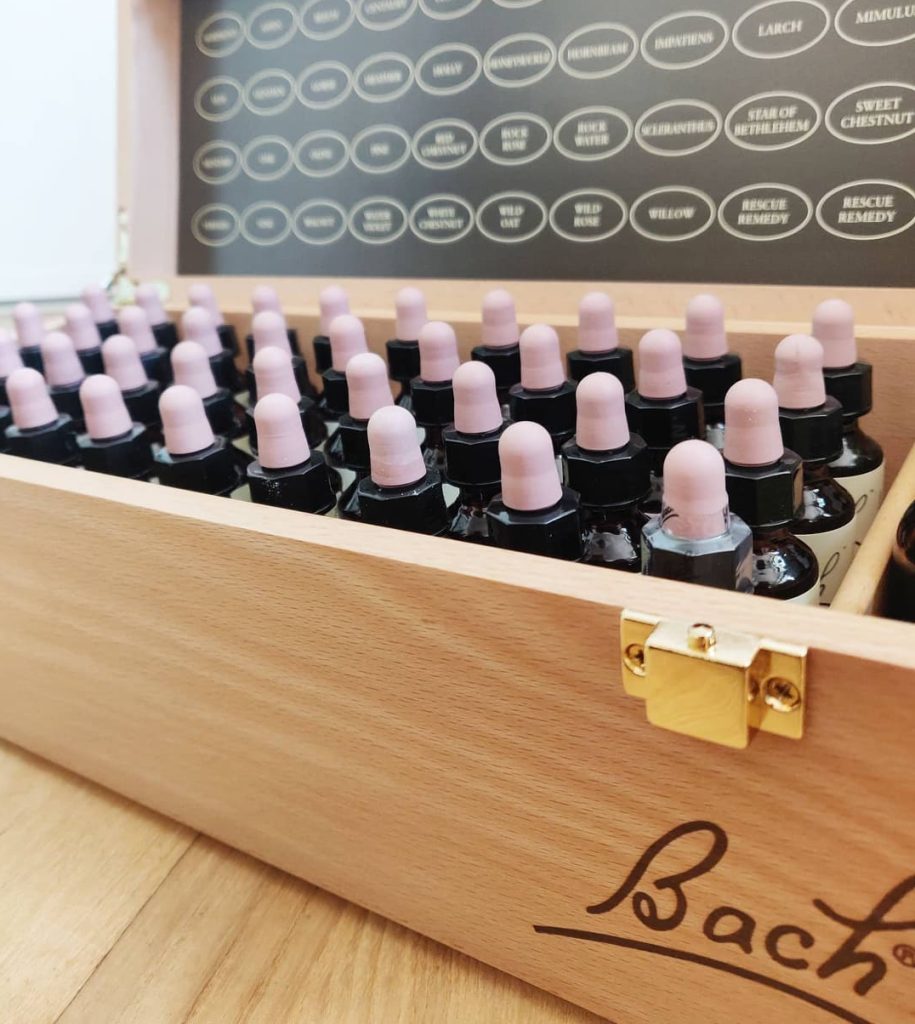 Bach’s blomsterremedier til heste og mennesker