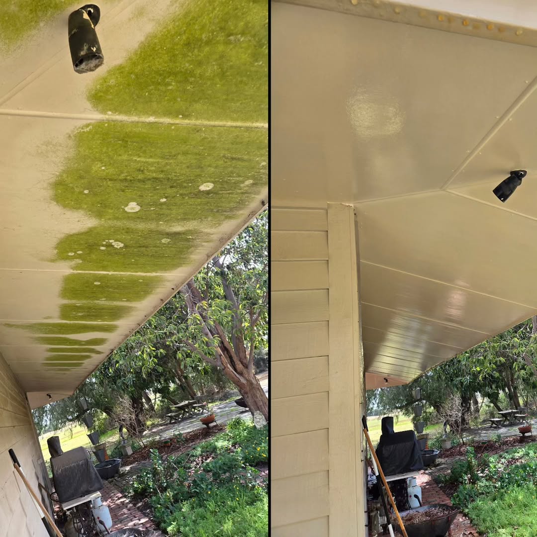 Before and after of verandah ceiling and eaves showing heavy green algae soft washed clean