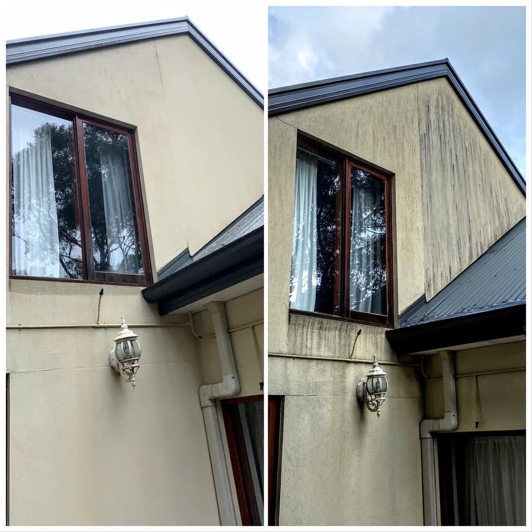 Before and after comparison of exterior rendered walls showing mould and grime safely removed with soft washing