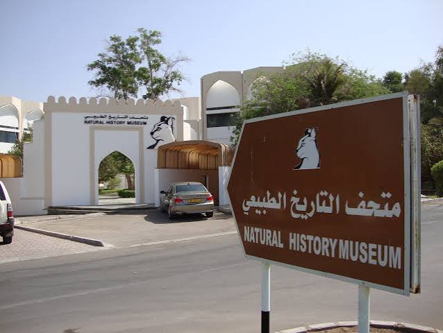 Natural History Museum (Al Khuwair)