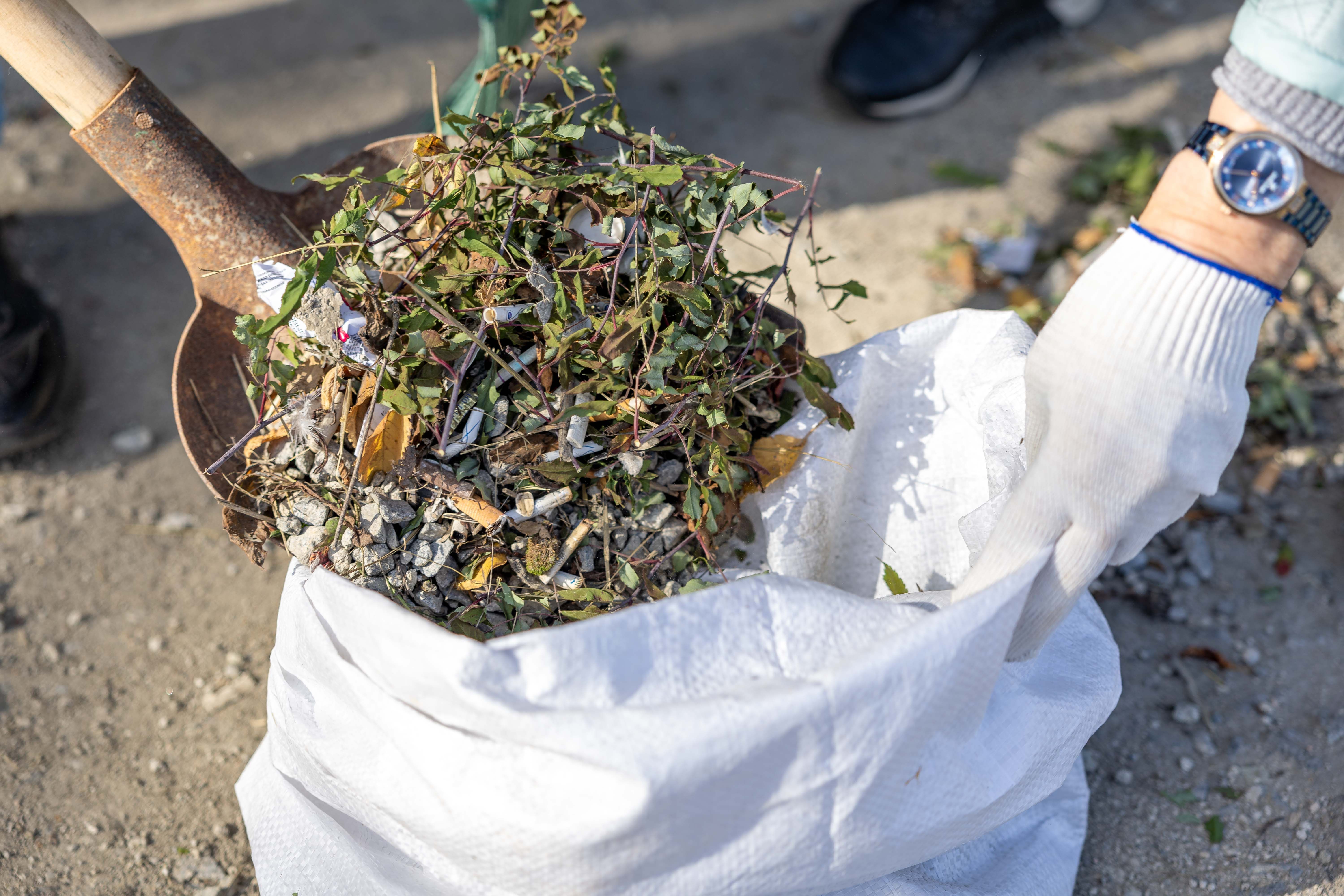 Garden Clearance - Professional Service by North London Trees