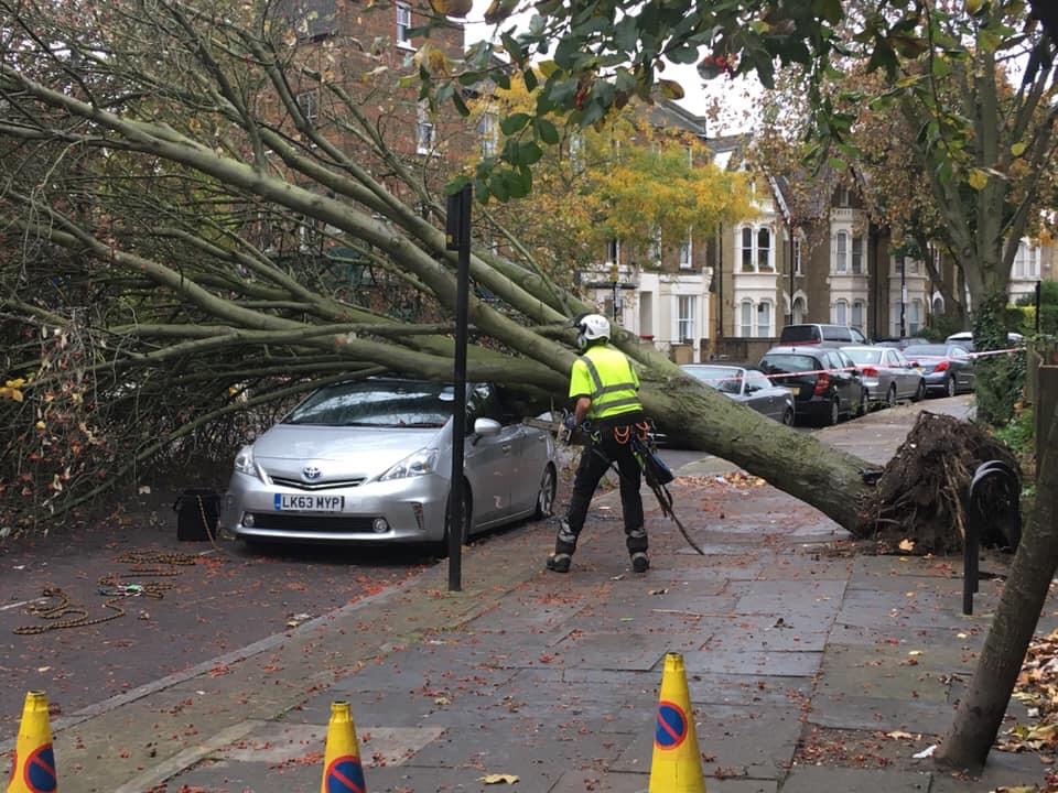 Emergency Callout - Professional Service by North London Trees