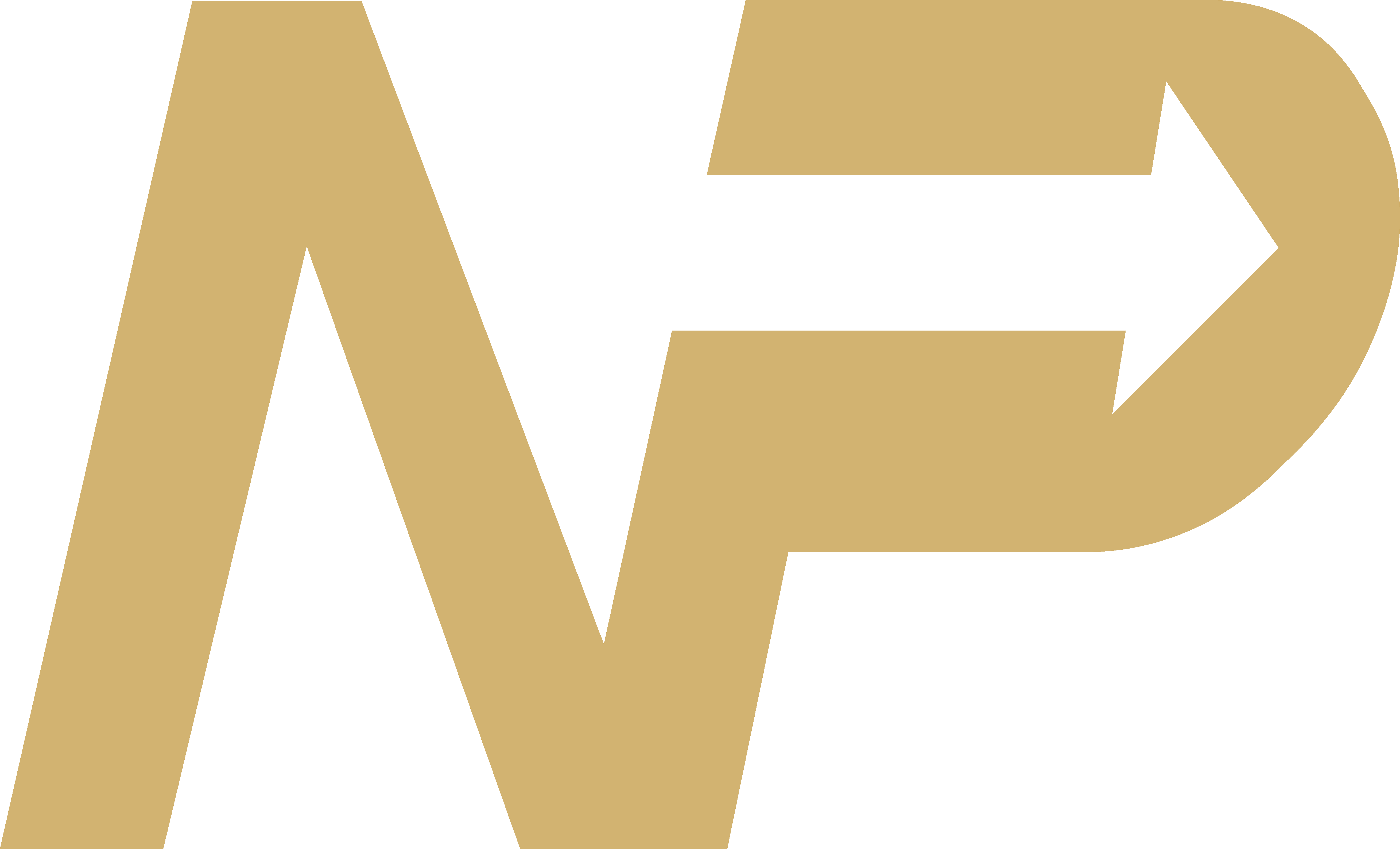 Next Play Logo