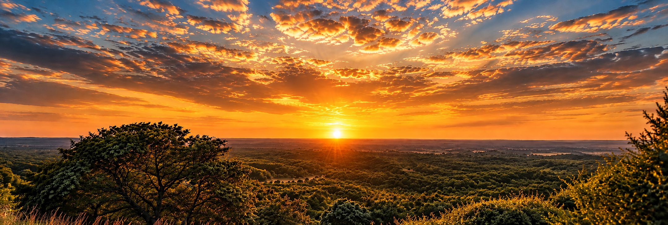 The Pastor's Refuge golden sunrise over rolling green hills and timber canopy