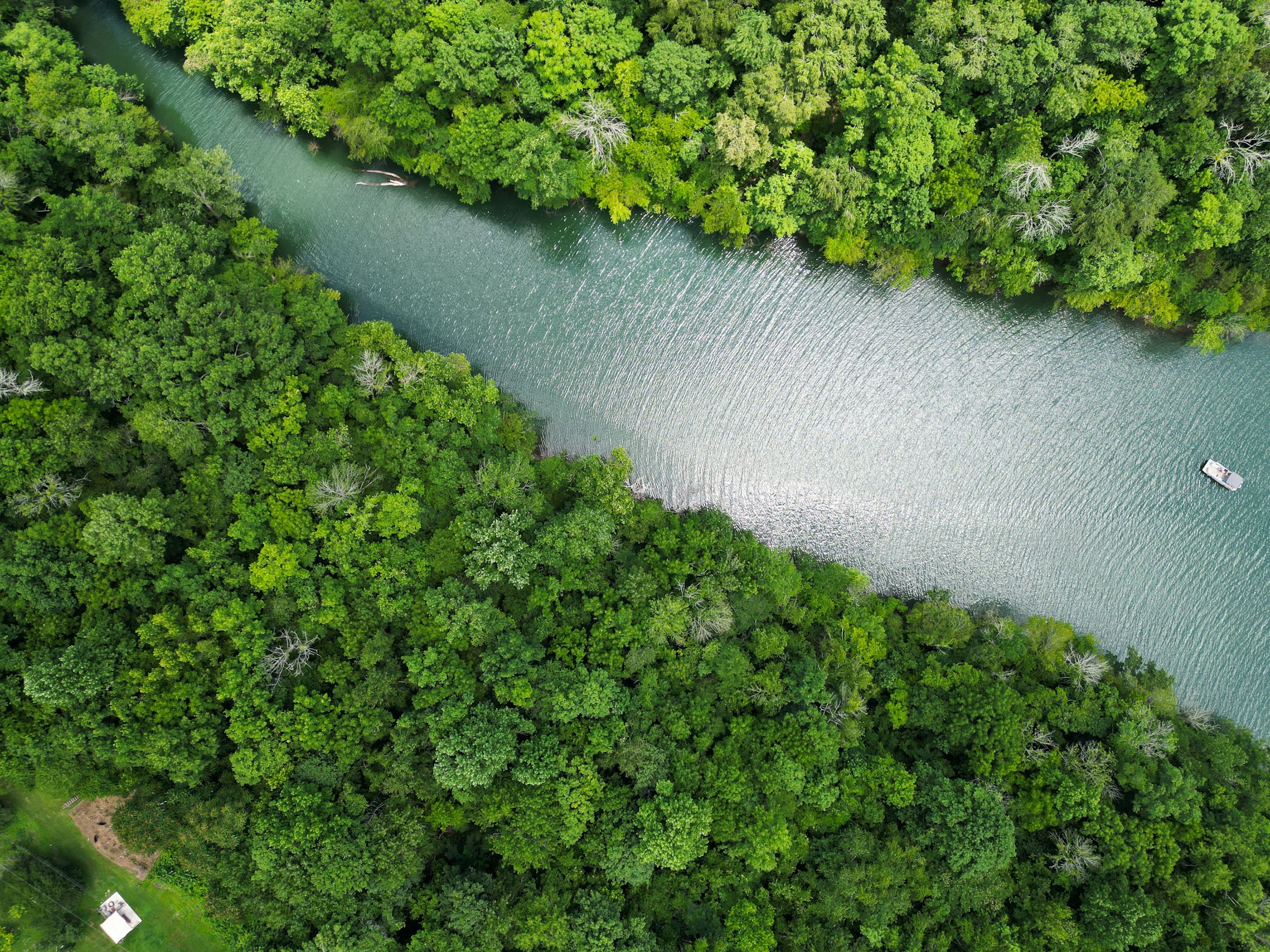 River flowing through a forested landscape