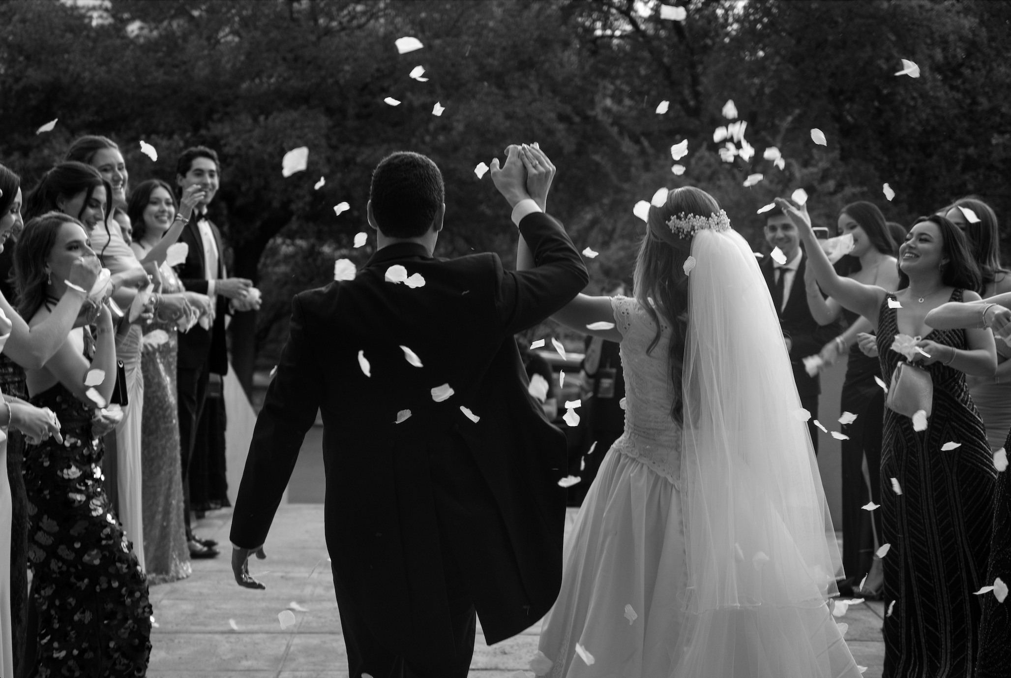 Novios caminando entre pétalos blancos con invitados celebrando, blanco y negro