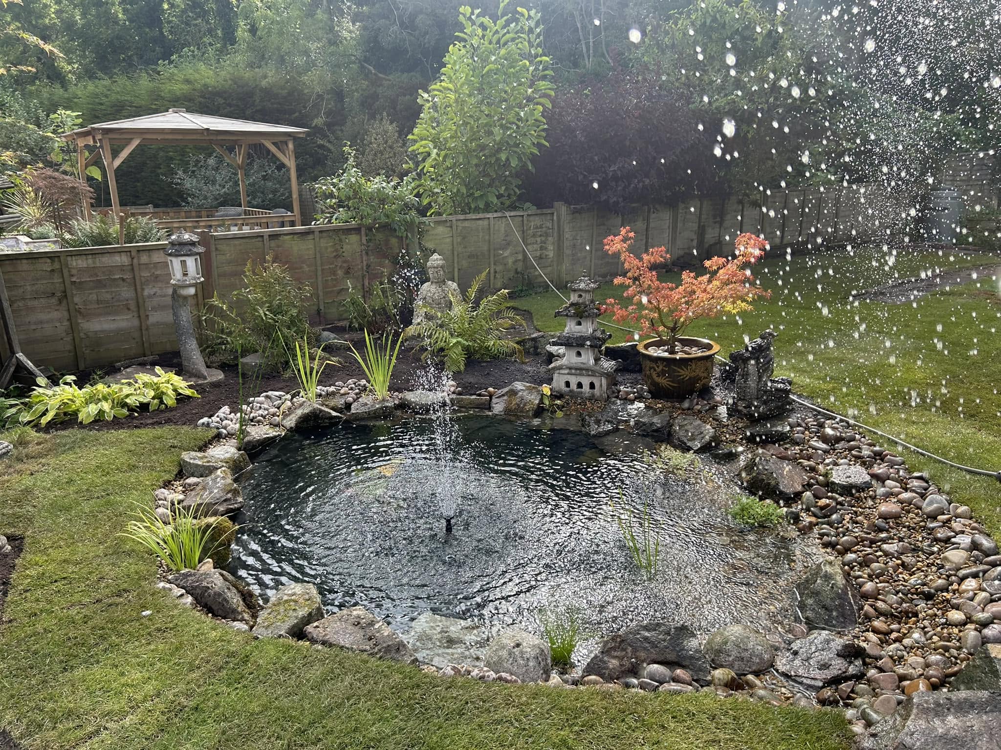 Garden boundary and planting