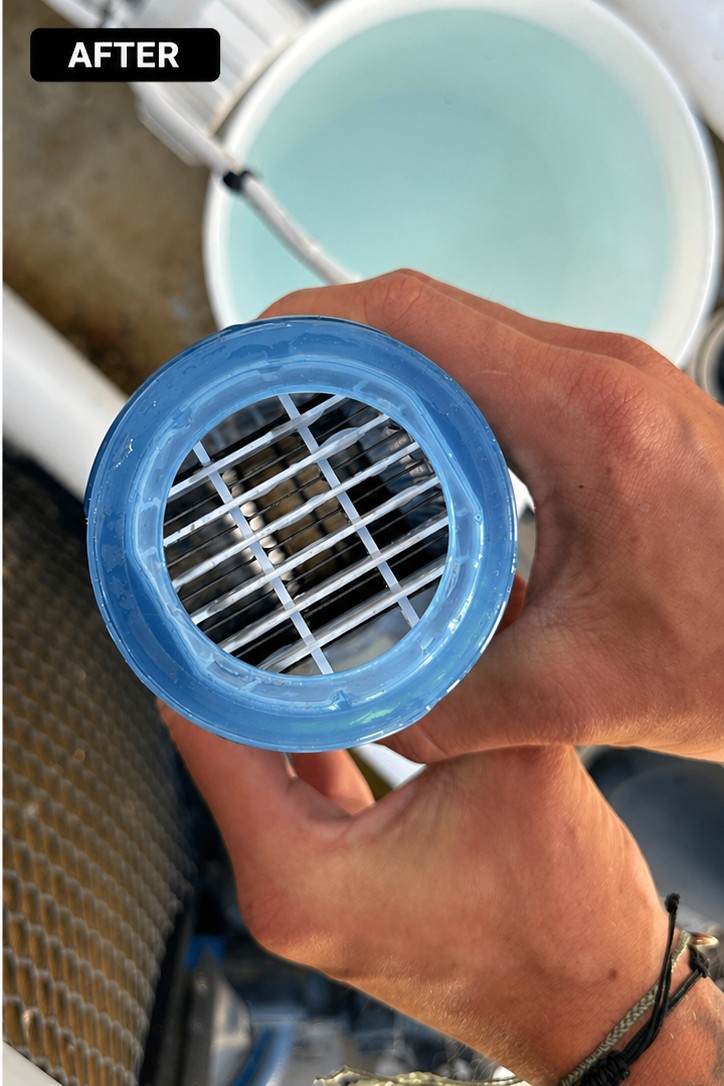 Clean descaled pool filter element after Baywatch Pools service