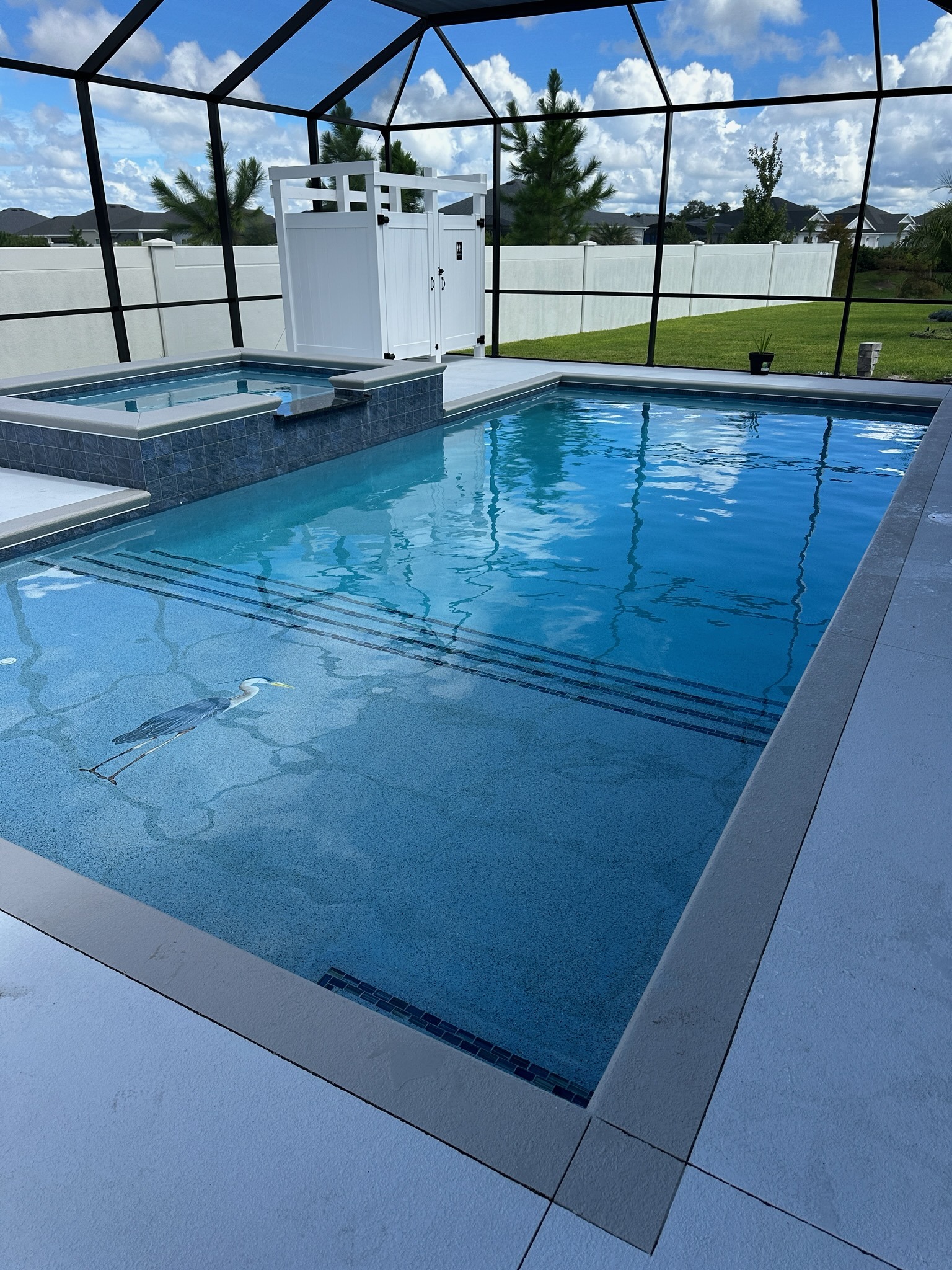 Screened swimming pool provided by Baywatch Pools