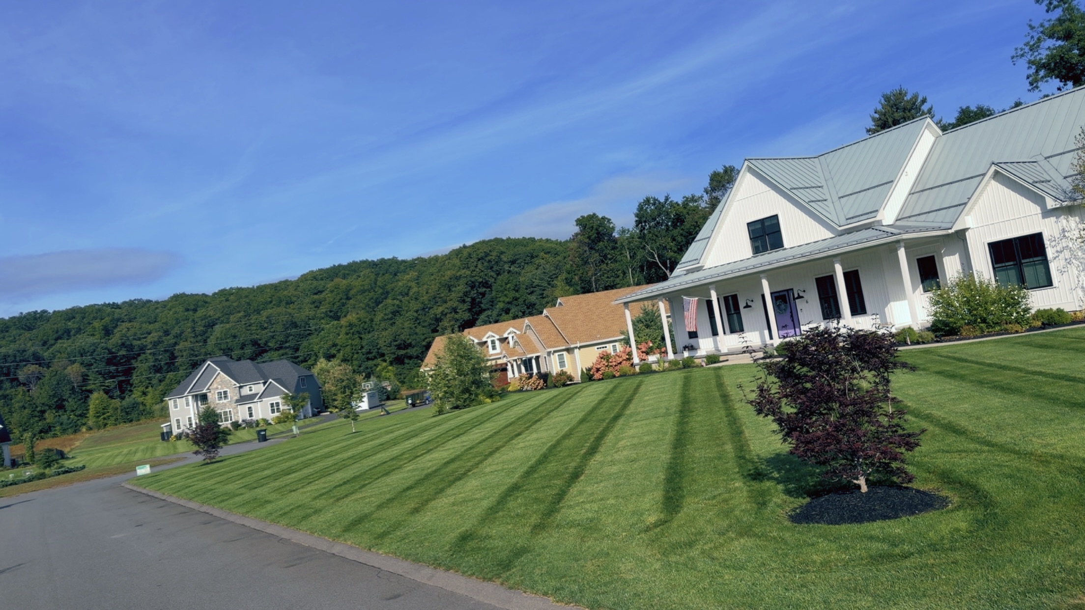 Crisp Diagonal Lawn Striping in Southampton Neighborhood