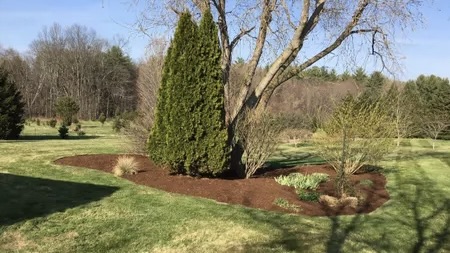 Tree Island Mulching & Lawn Striping