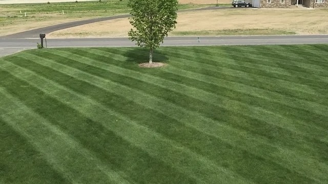 Precision Lawn Striping & Turf Care