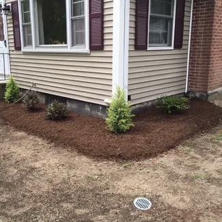 Foundation Bed Edging & Shrub Mulching