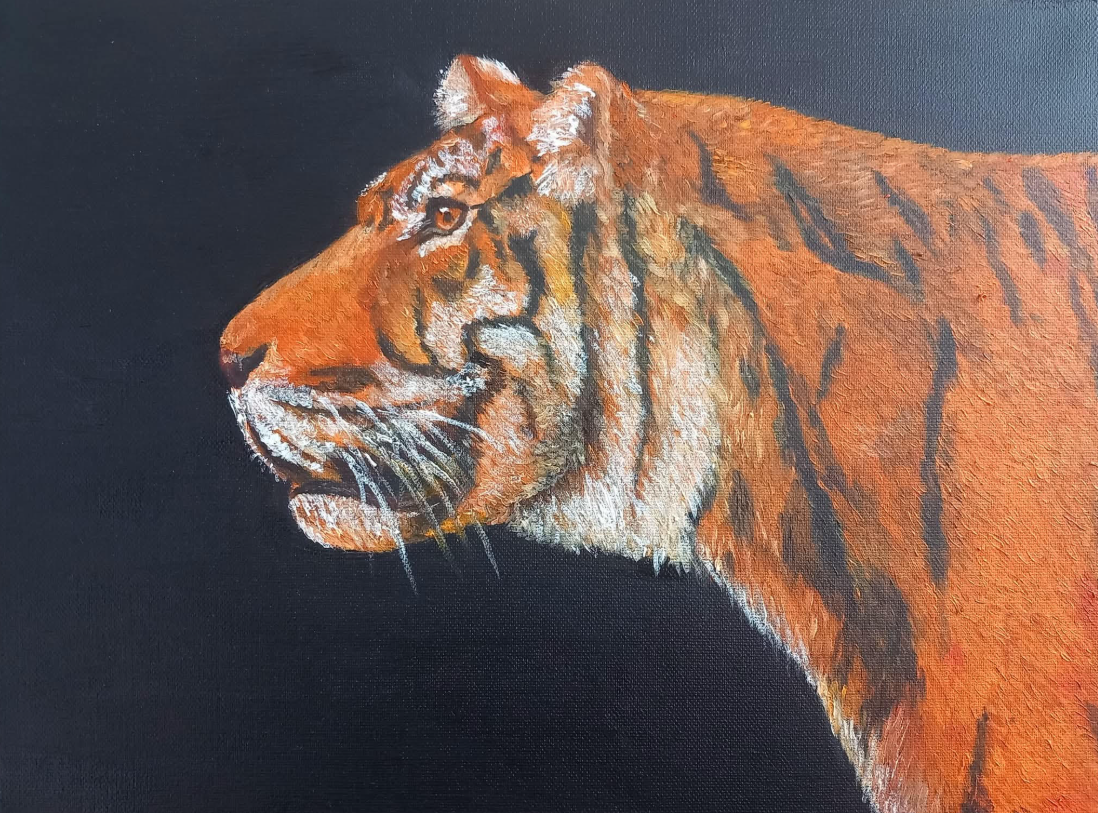 Colour painting of a tiger in side profile against a dark background