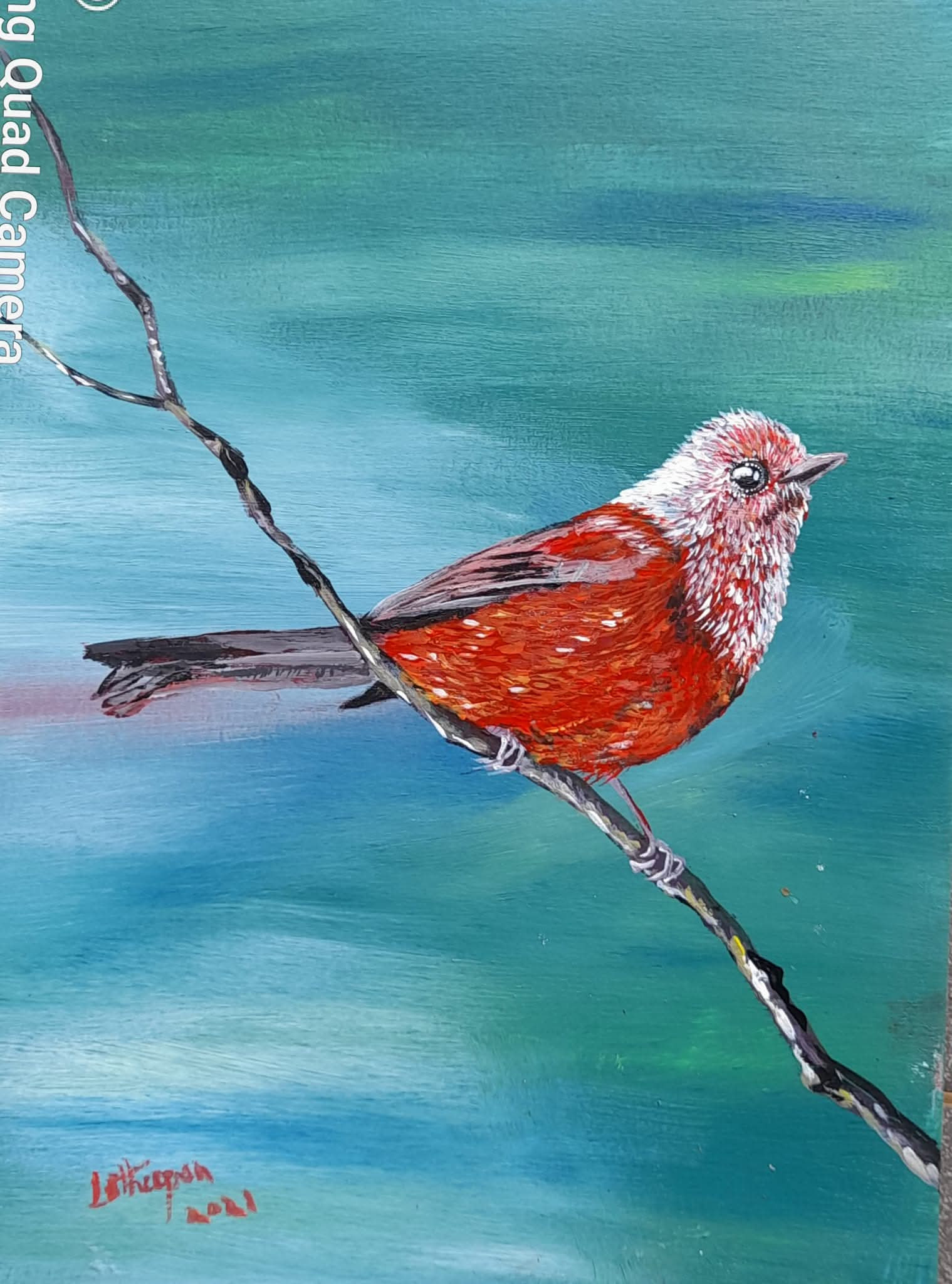 Painting of a vivid red bird with white crested plumage perched on a branch, signed Latheepan 2021