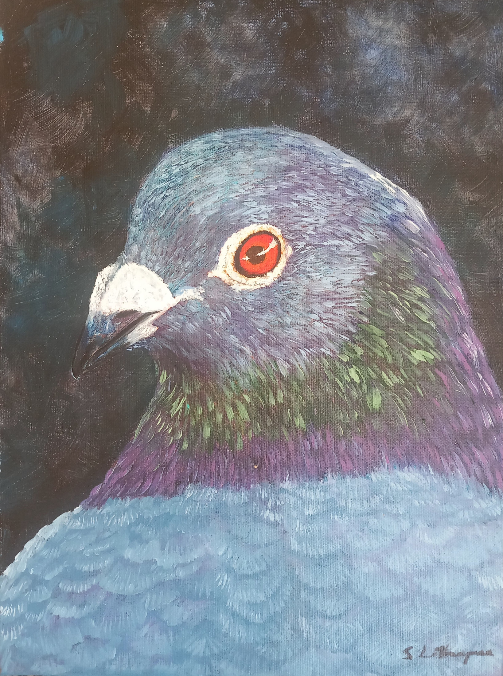 Detailed profile portrait painting of a pigeon with iridescent neck plumage and red eye, signed S. Latheepan