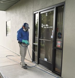 Rodent Activity in Cooler Months: What Homeowners Should Look Out For