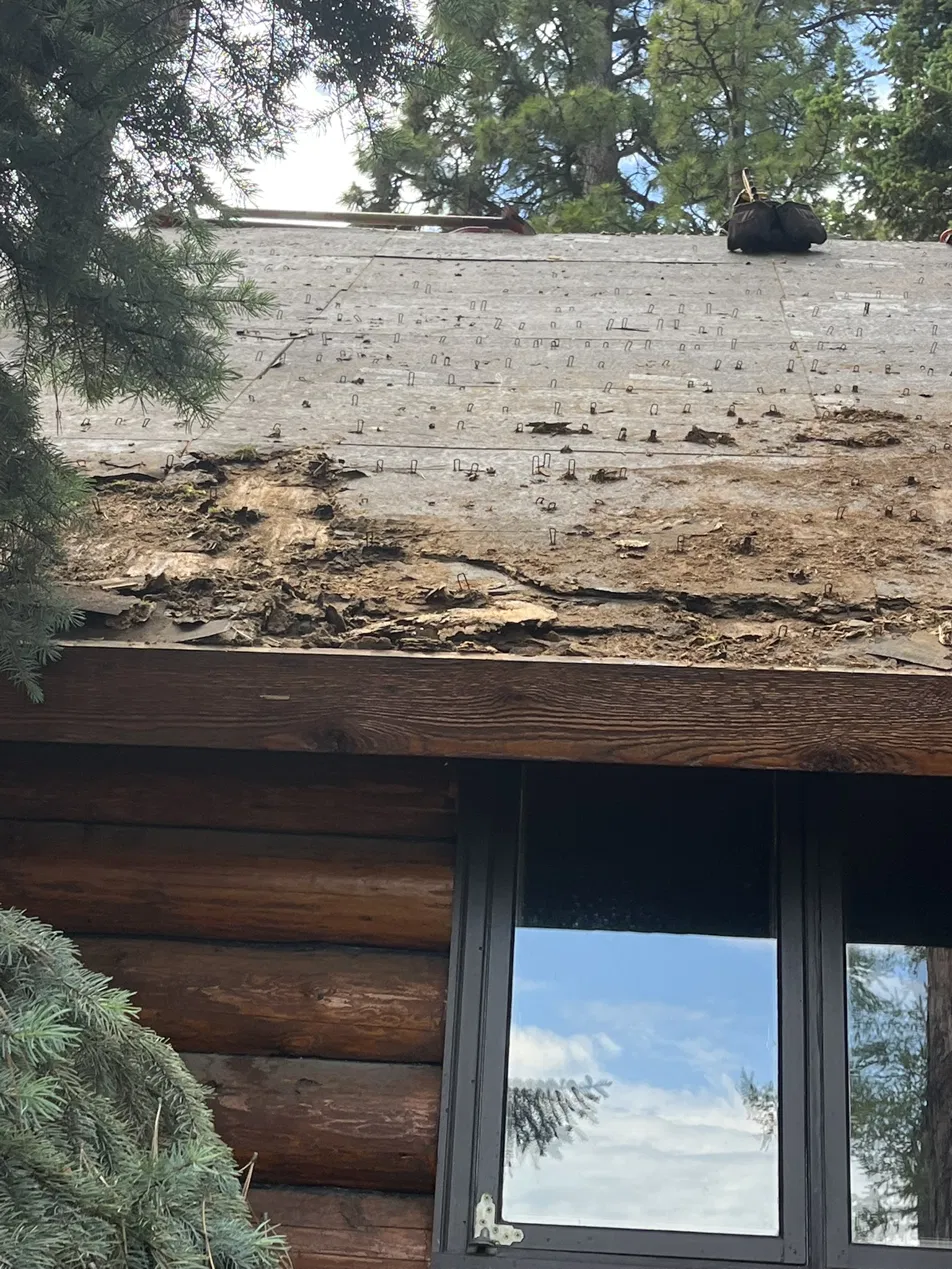 Deteriorated roof decking exposed during a tear-off in the Flathead Valley, Montana