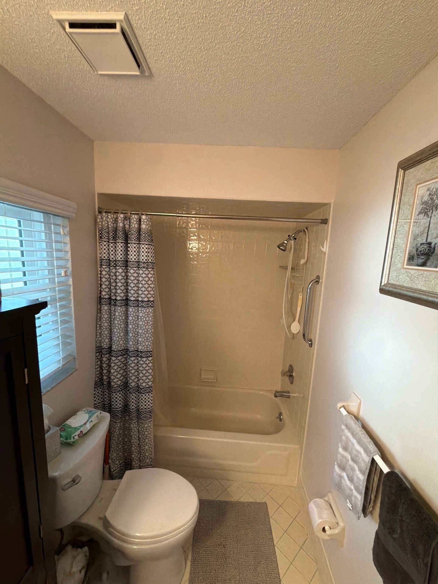 Original dated bathroom shower before remodeling