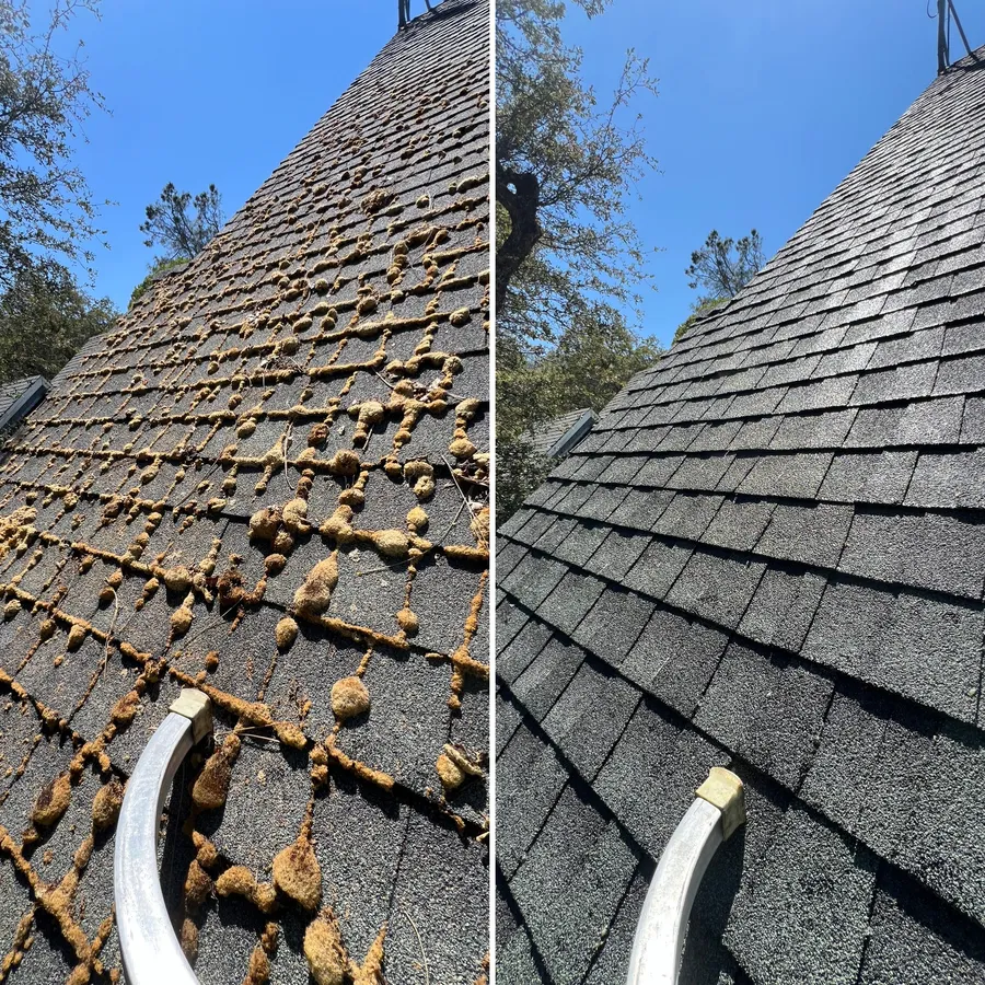 Professional roof washing and moss removal by Softwash & More