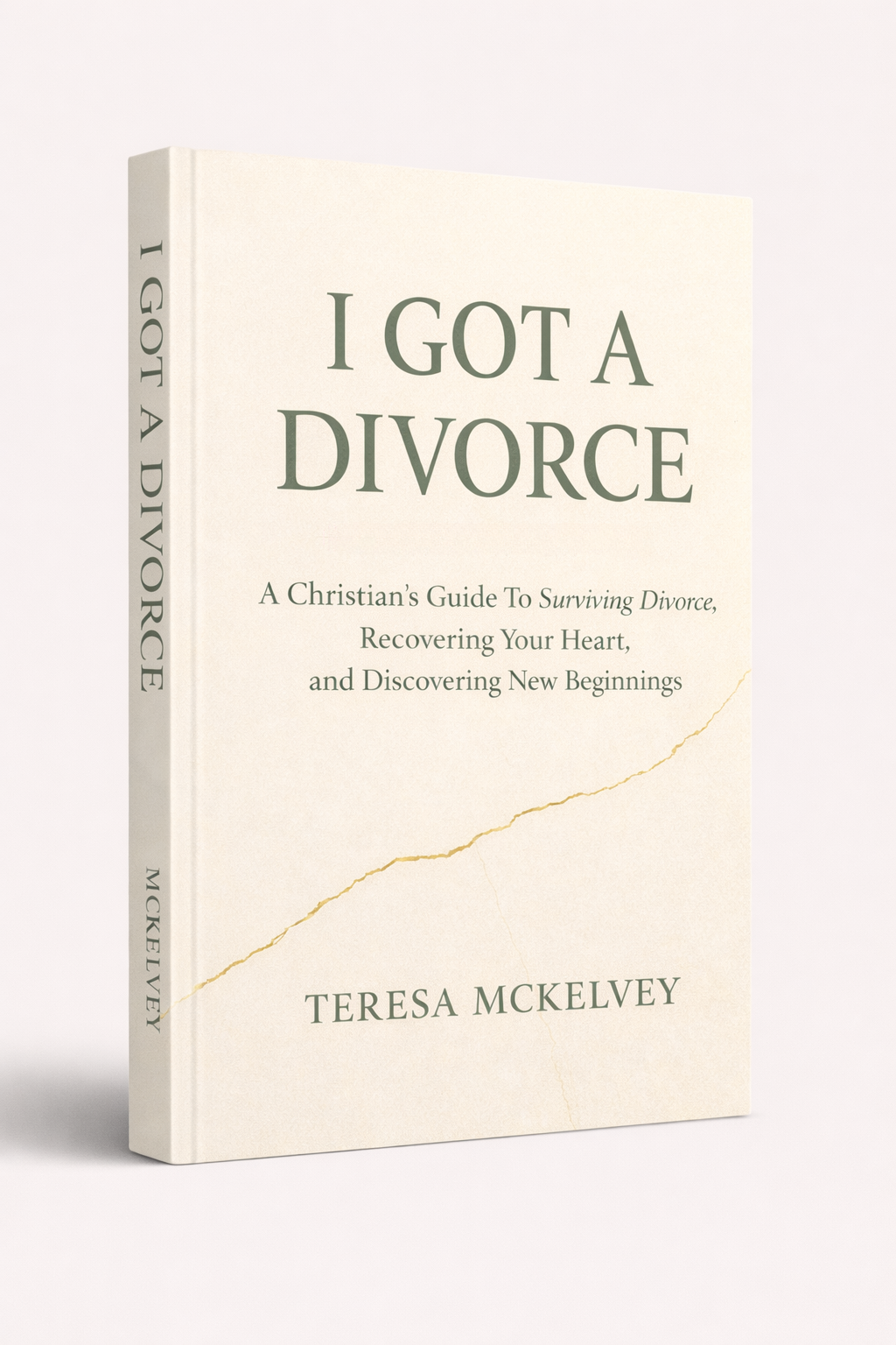 I Got A Divorce book cover