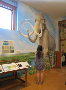Local historic museum exhibition mural featuring regional natural history
