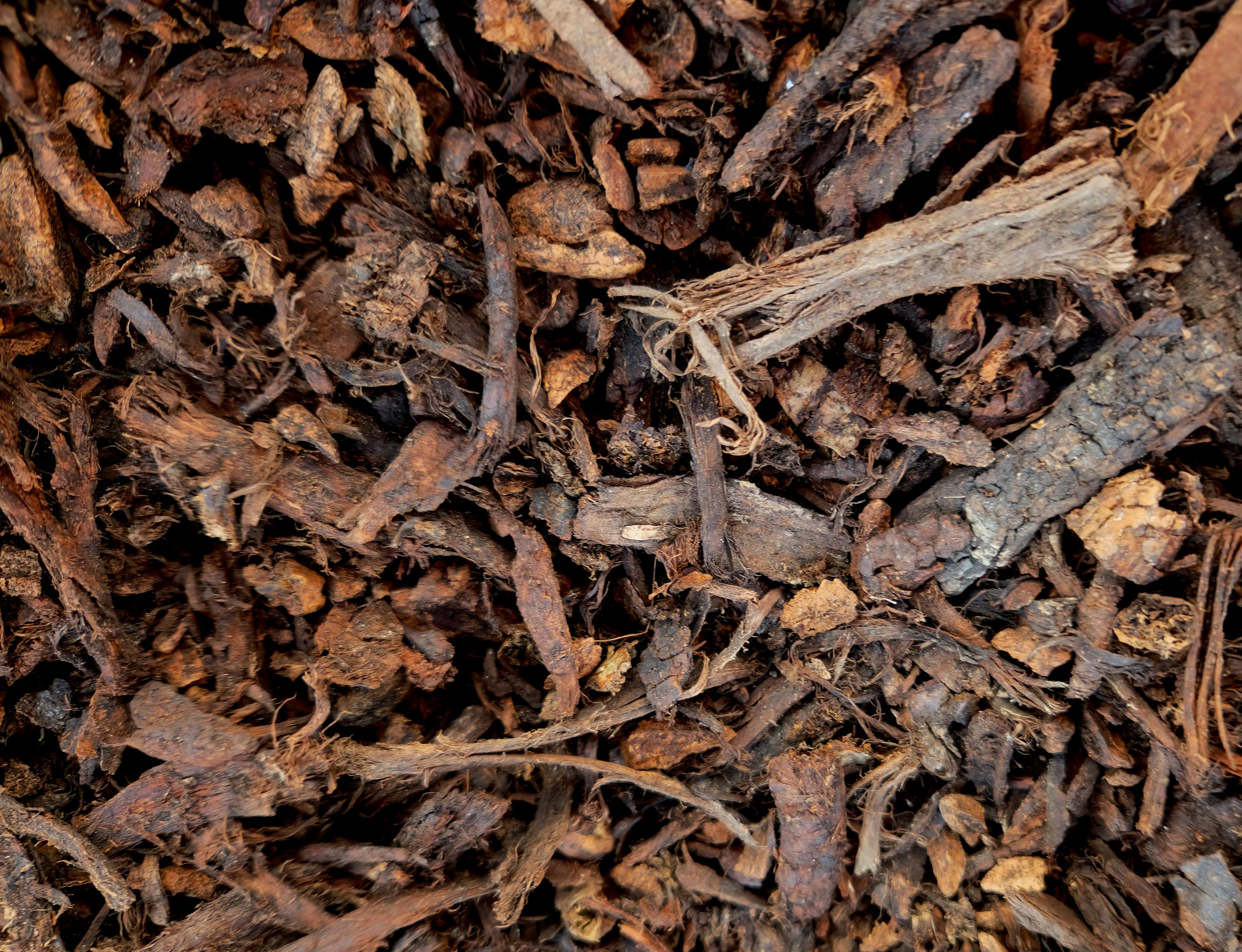 Fresh brown bark mulch spread evenly across a garden bed in Culpeper, Virginia
