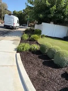 Precision Lawn Cutting & Edging