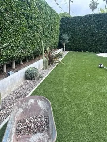 Hedge, Bush & Shrub Pruning