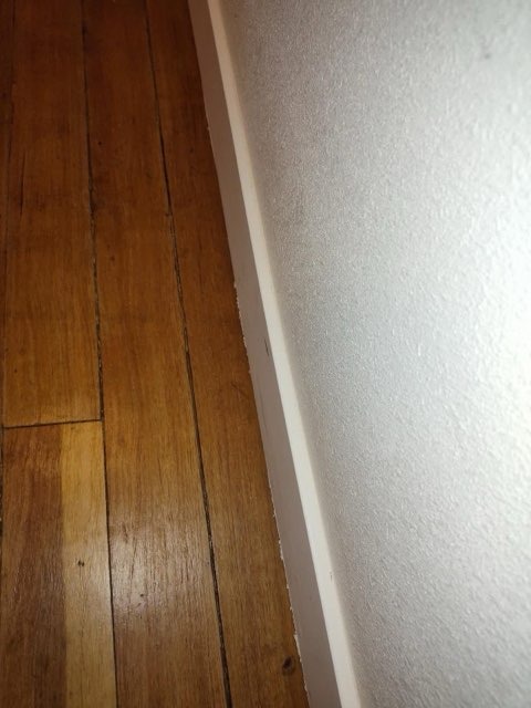 Precision Baseboard Dusting & Hardwood Floor Edge Detailing