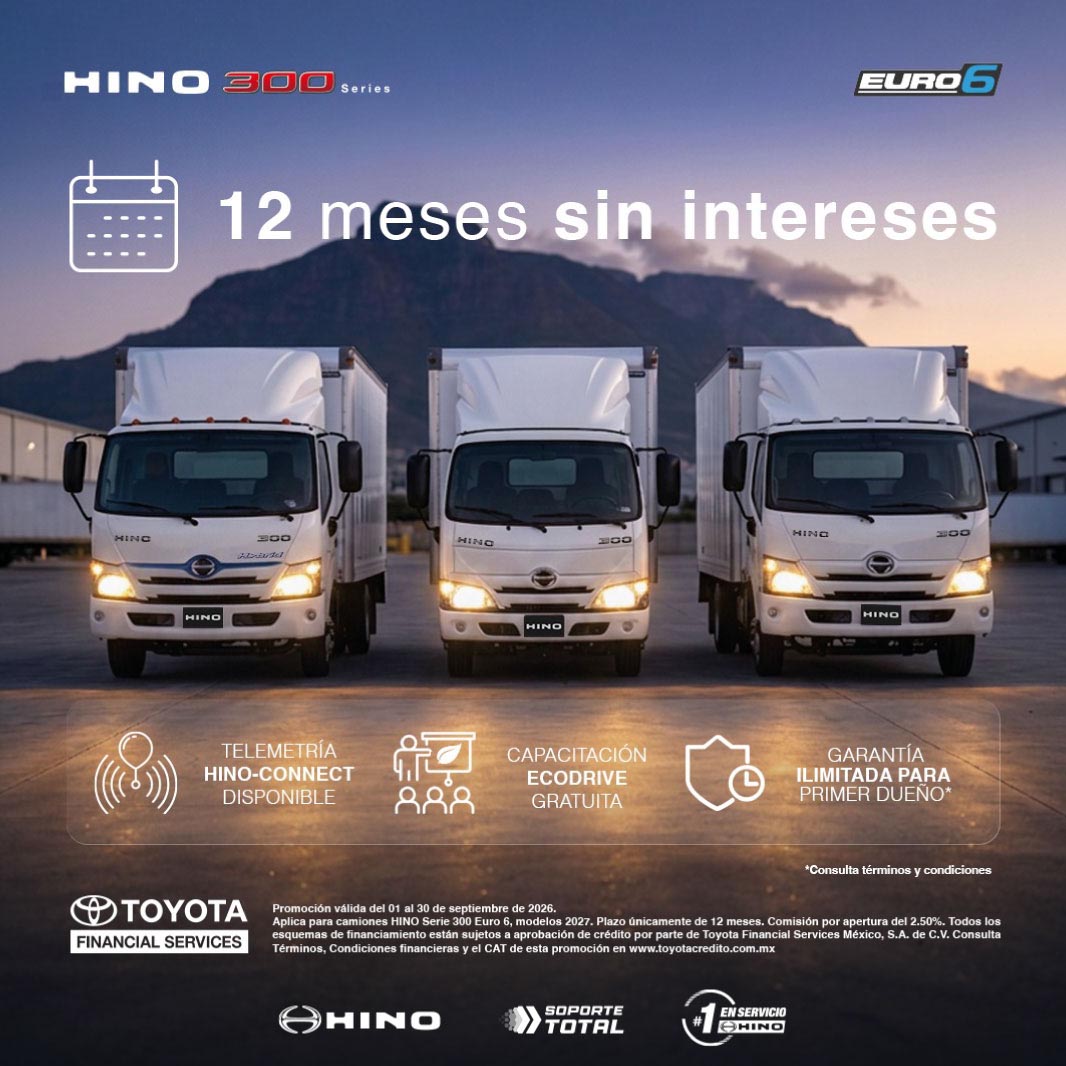12 meses sin intereses