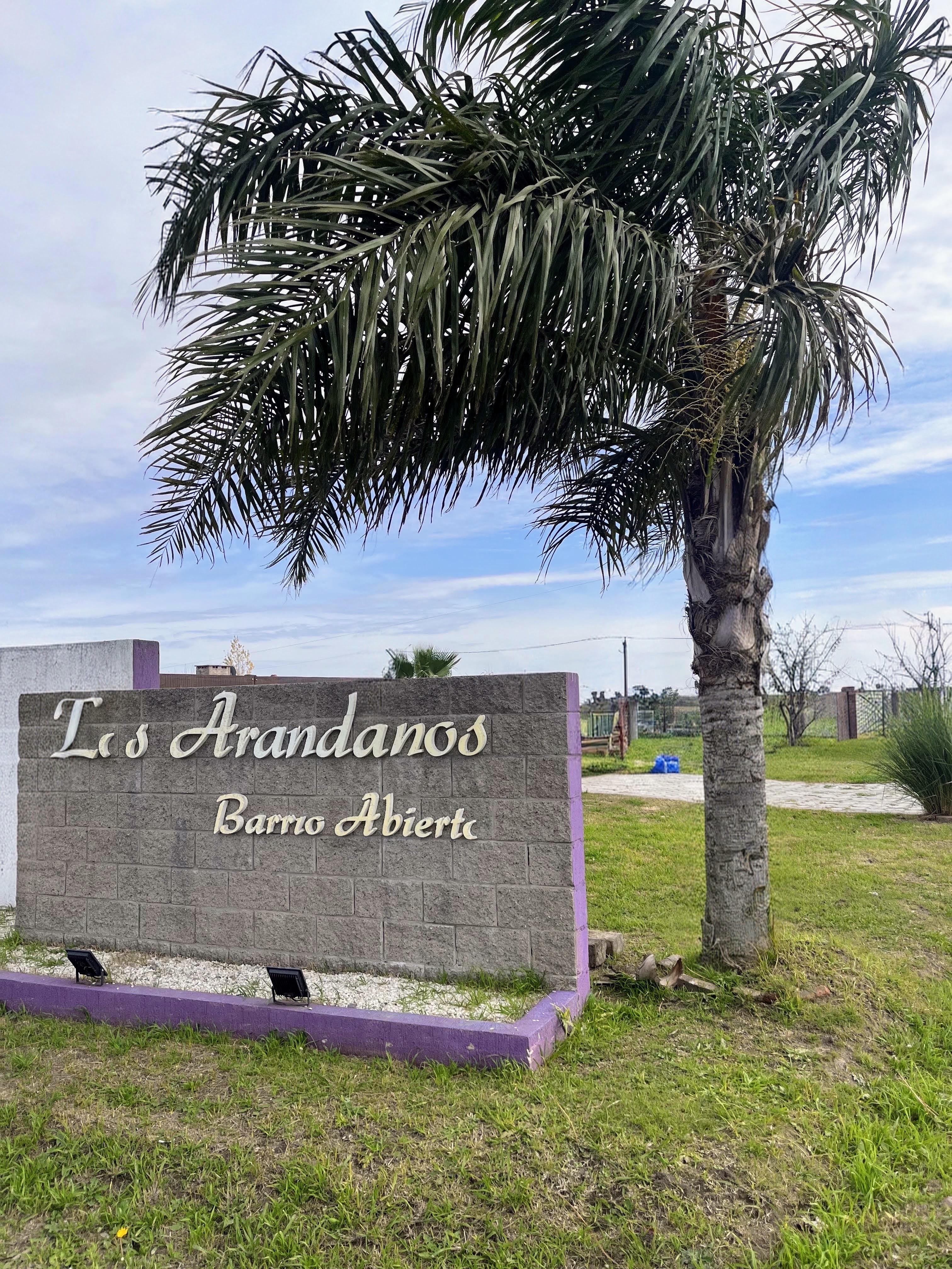 Entrada a Los Arándanos Barrio Abierto en Pueblo Muñoz con cartel identificatorio y palmera
