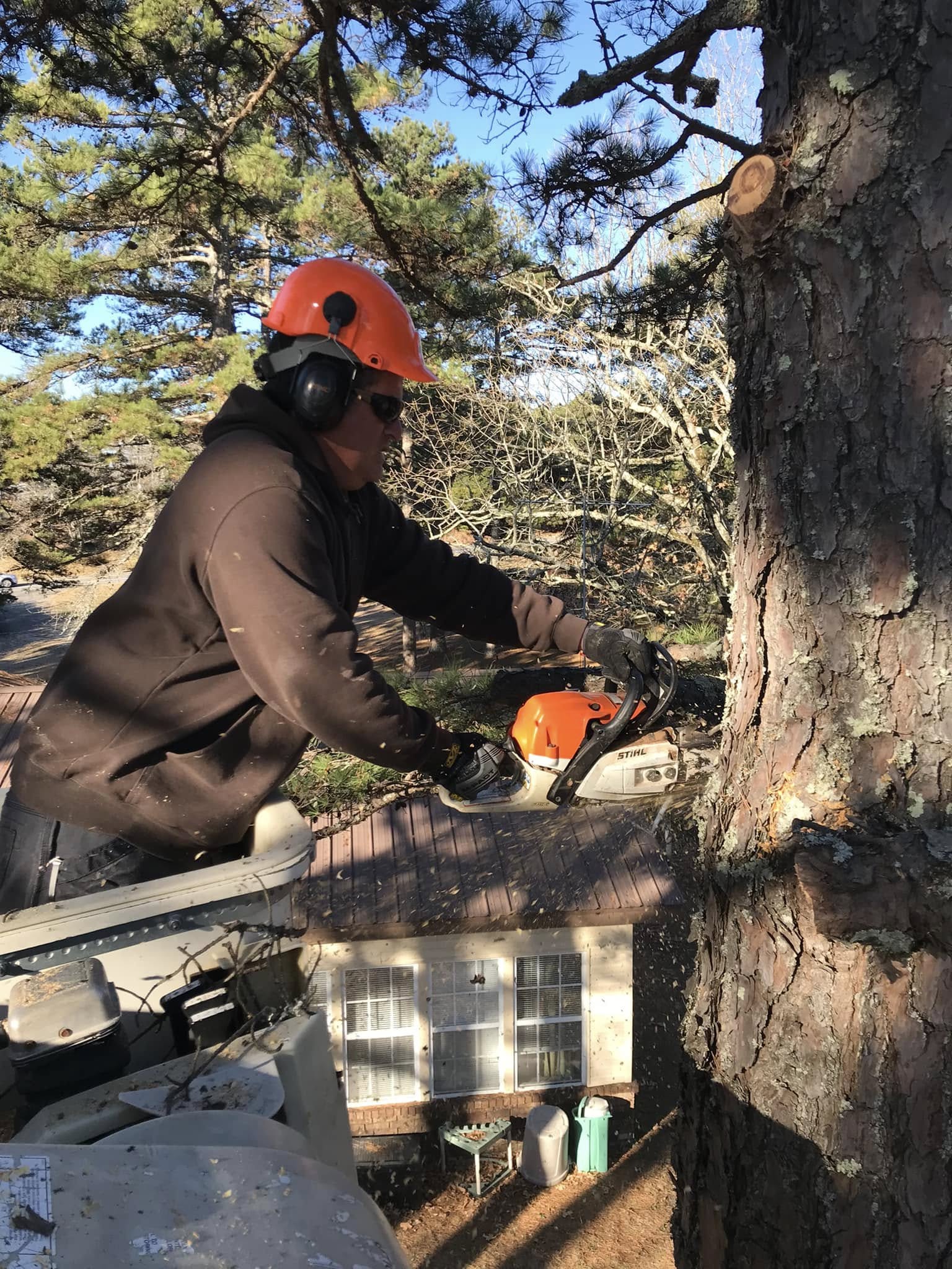Precision aerial tree pruning with bucket truck