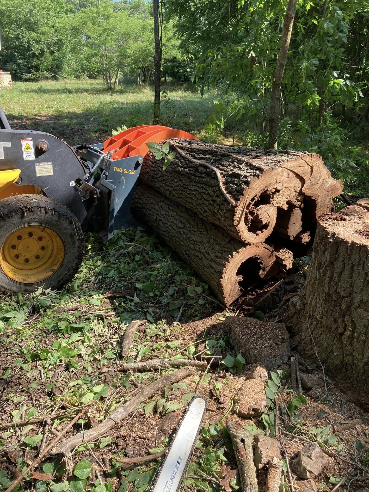 Hollow tree trunk clearing and cleanup