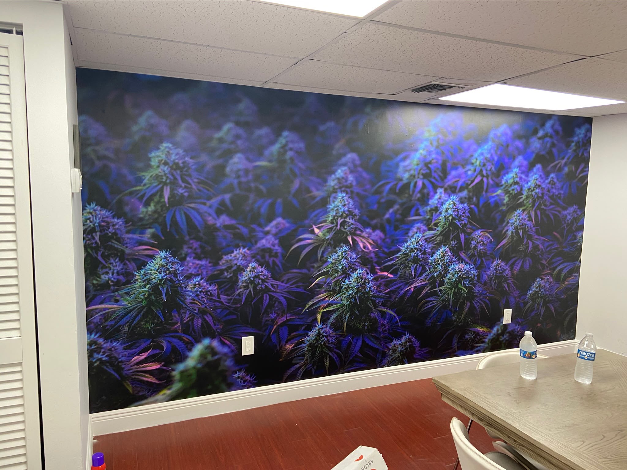 Corporate boardroom feature wall wrap with vibrant purple agricultural botanical mural in Doral FL