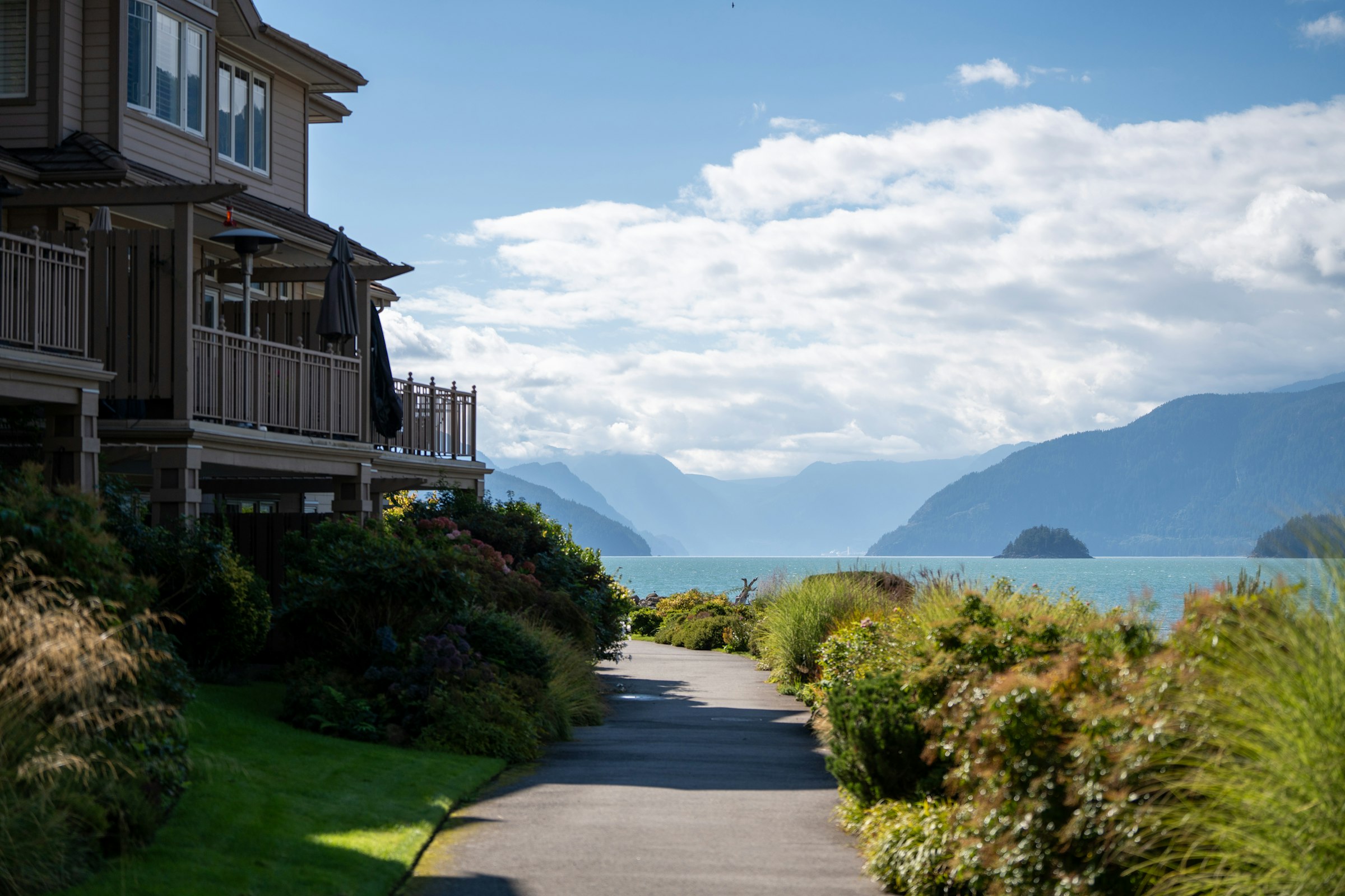 Tree-lined residential street in Vancouver, British Columbia