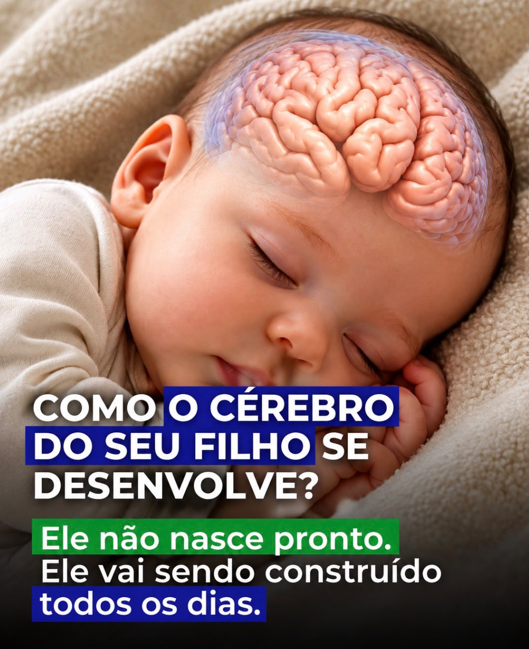How Does a Child's Brain Develop?