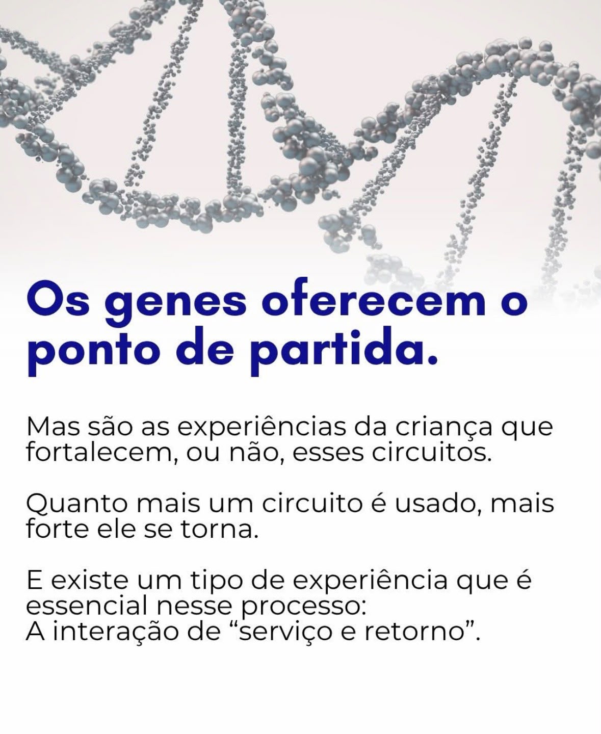 Genes Provide the Blueprint