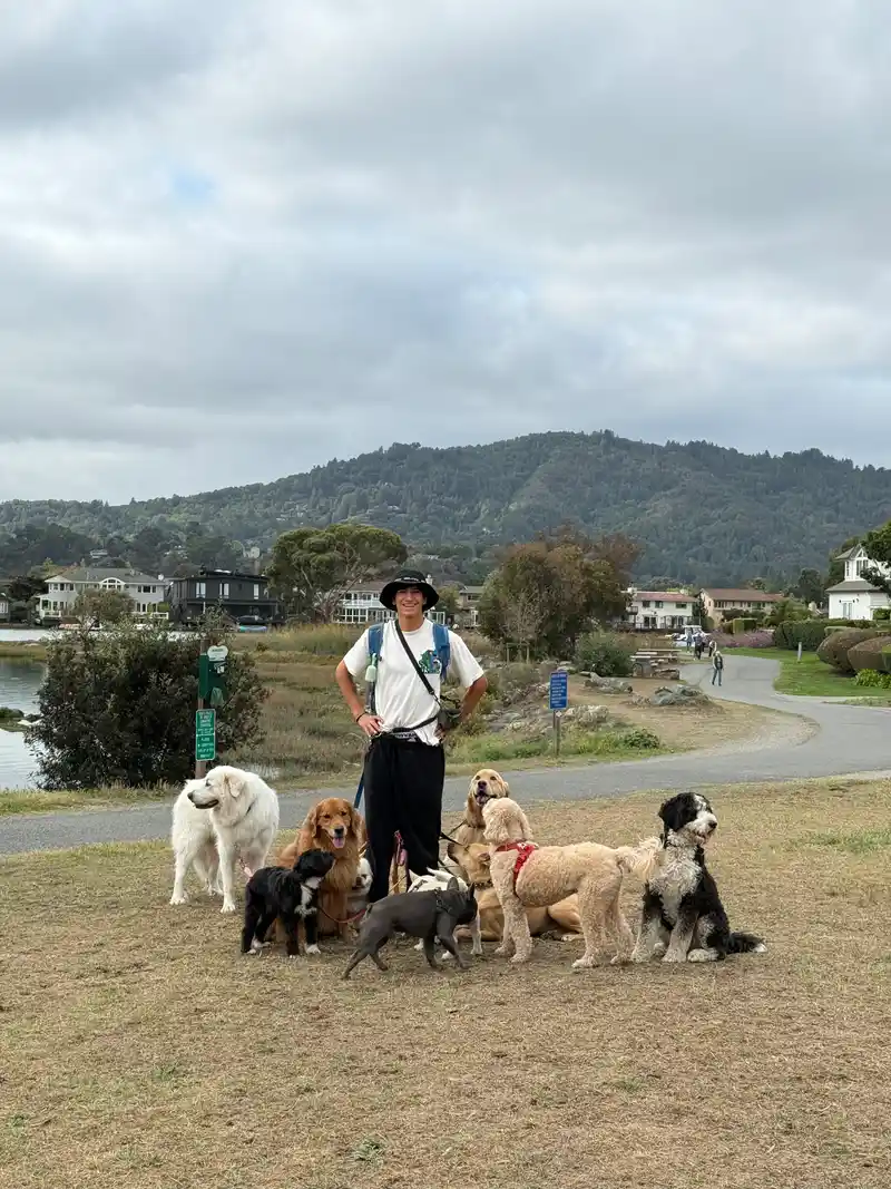 Julian standing with a happy pack of dogs on a scenic bayside trail with green hills behind them