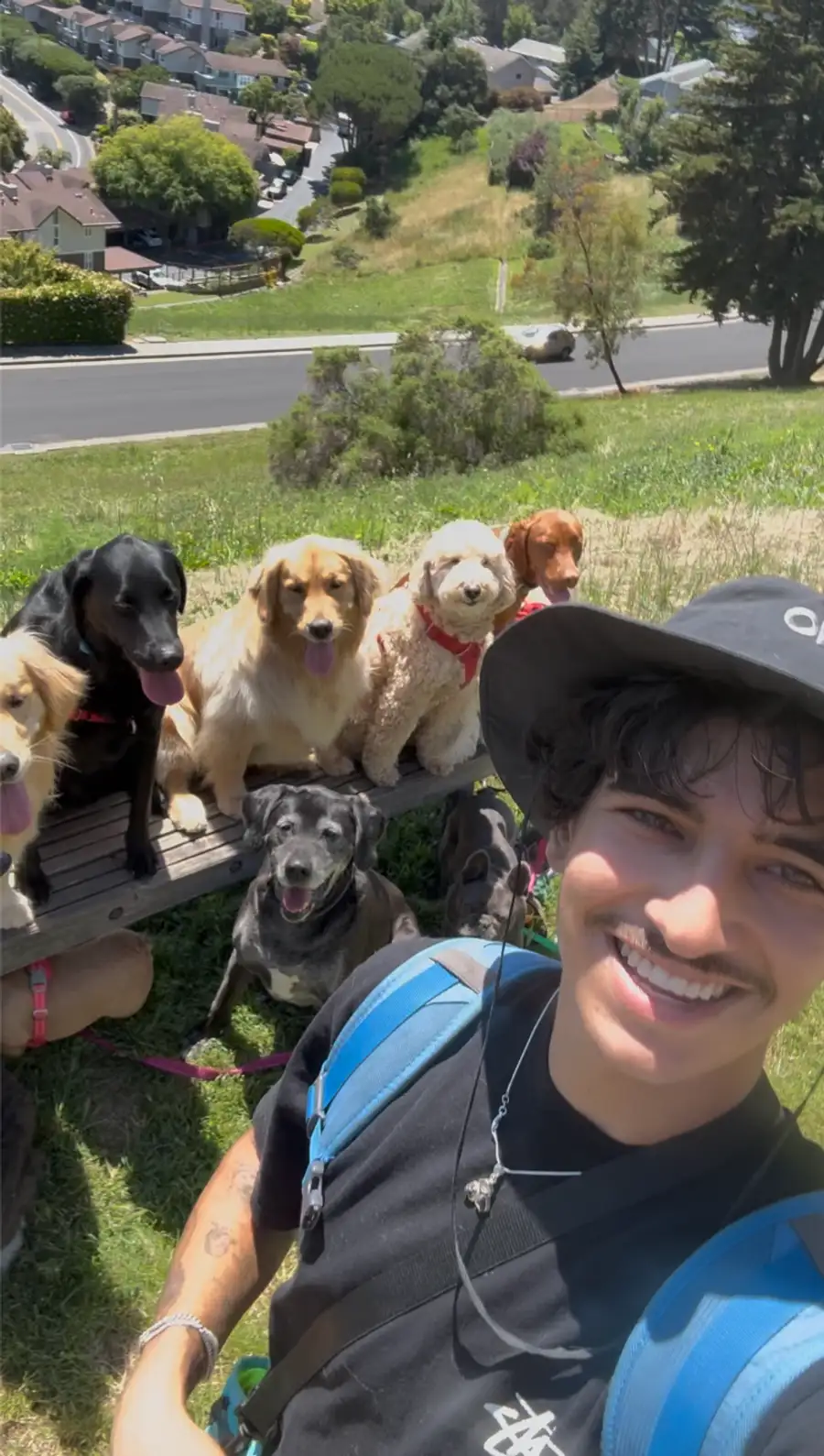 Julian, founder of Paws and Play Marin, smiling outdoors with a pack of happy dogs