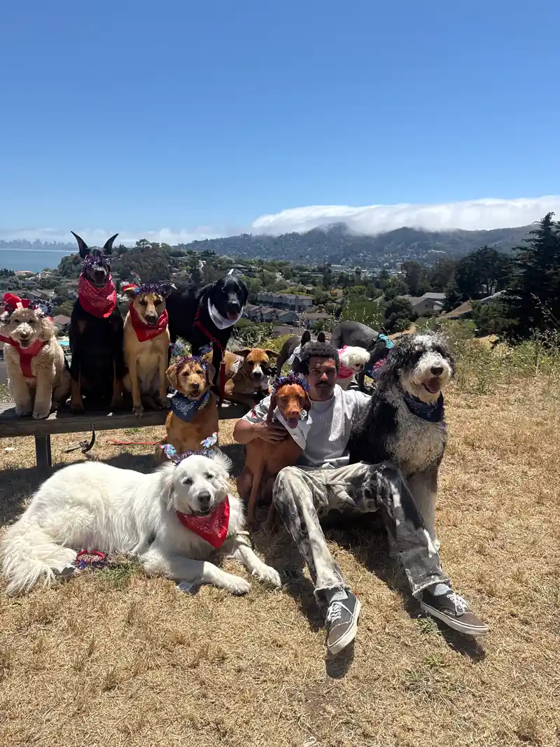 Julian sitting with festive dogs in red bandanas and star headbands on a scenic Marin hill