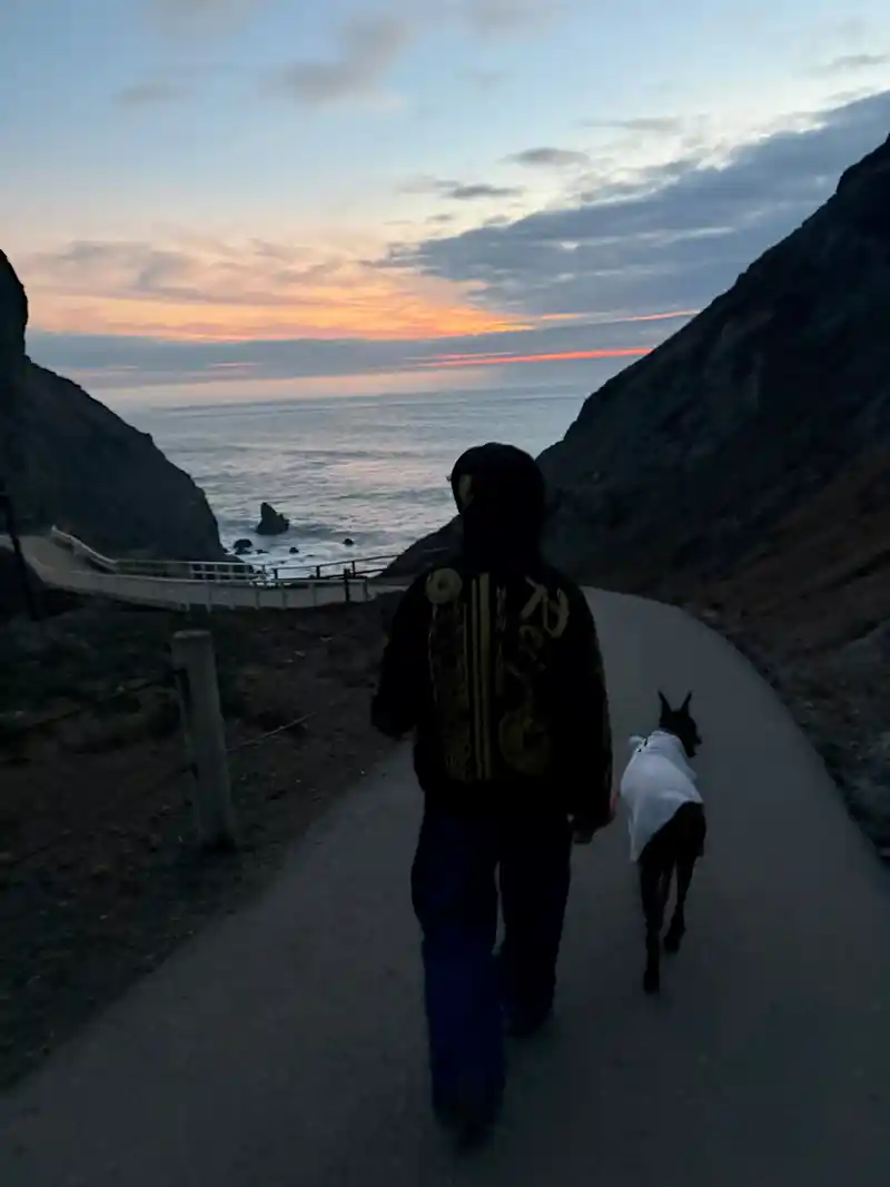 An evening walk with a dog along a dramatic coastal path heading toward the ocean at sunset