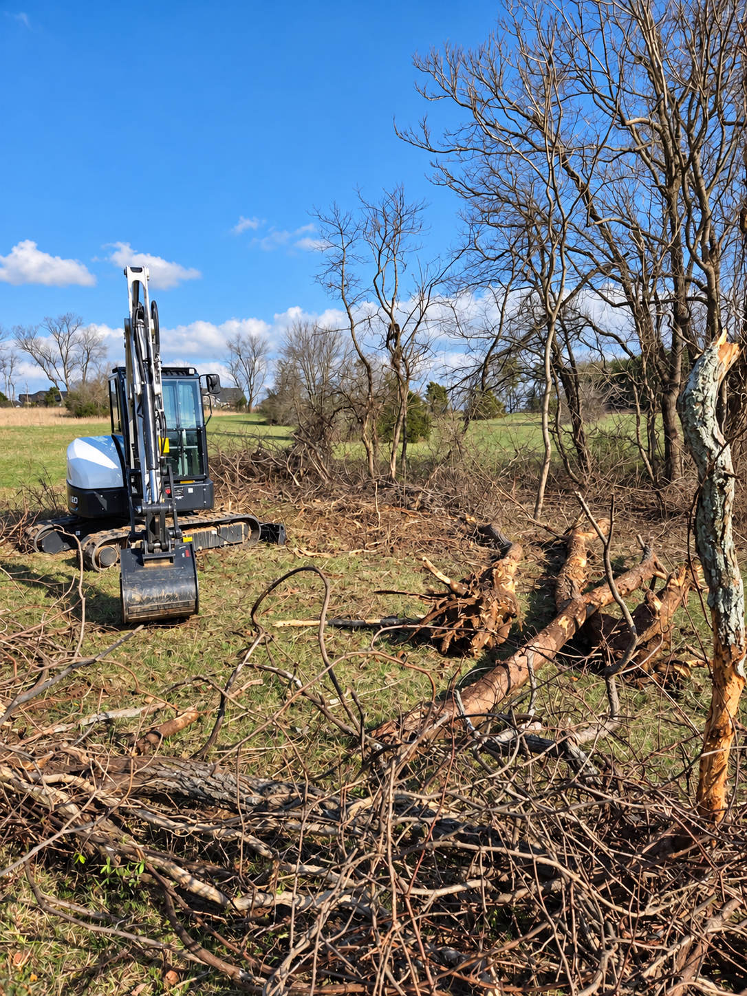 Land Clearing & Tree Work