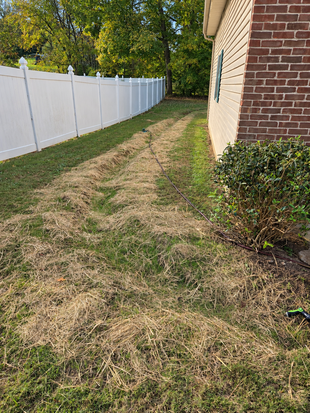 Drainage & Trenching
