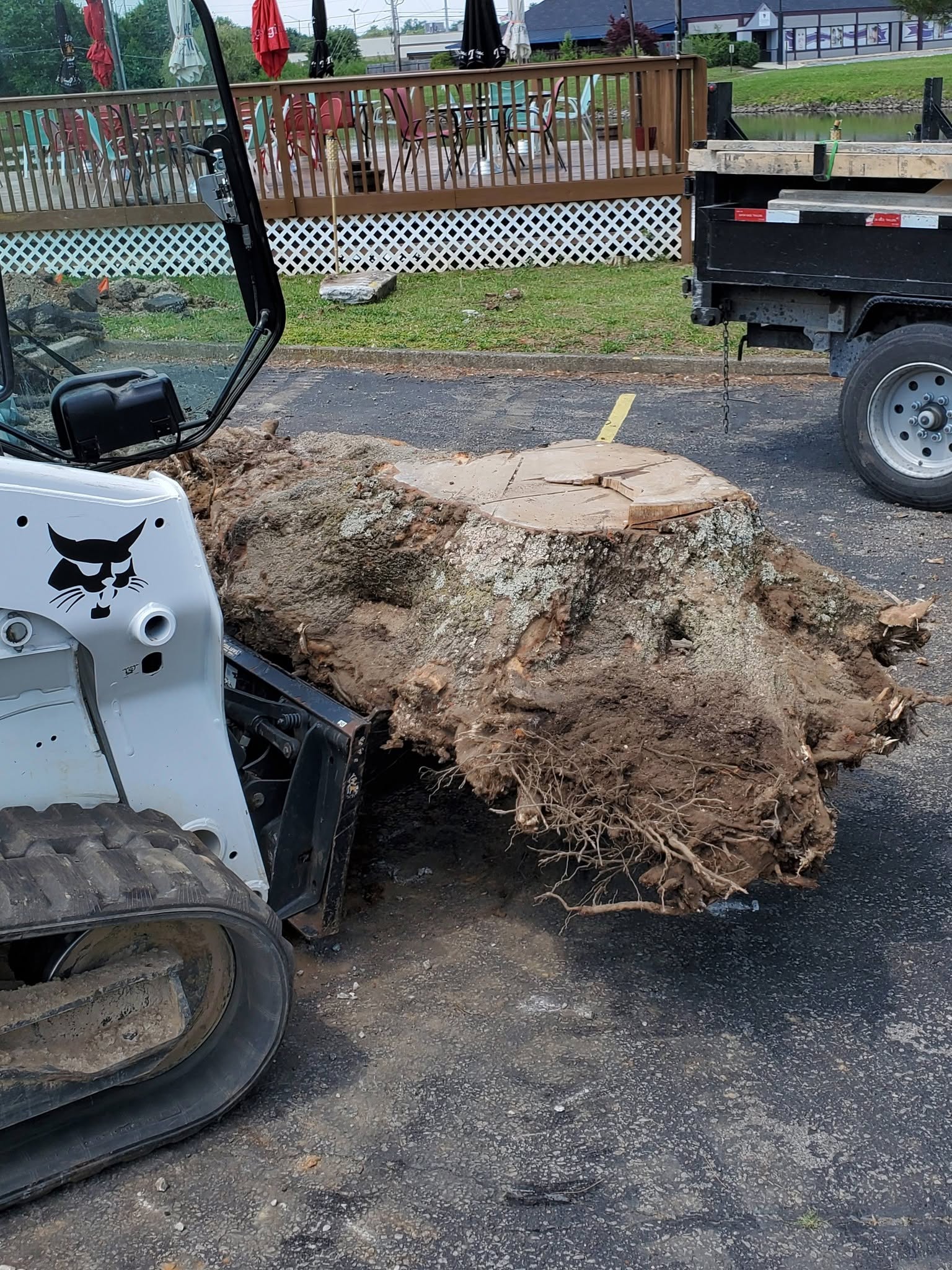 Stump Removal
