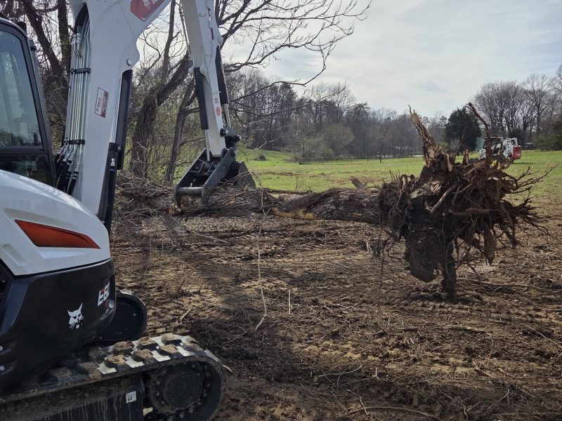 Mattingly Excavating excavator lifting tree and root ball during lot clearing