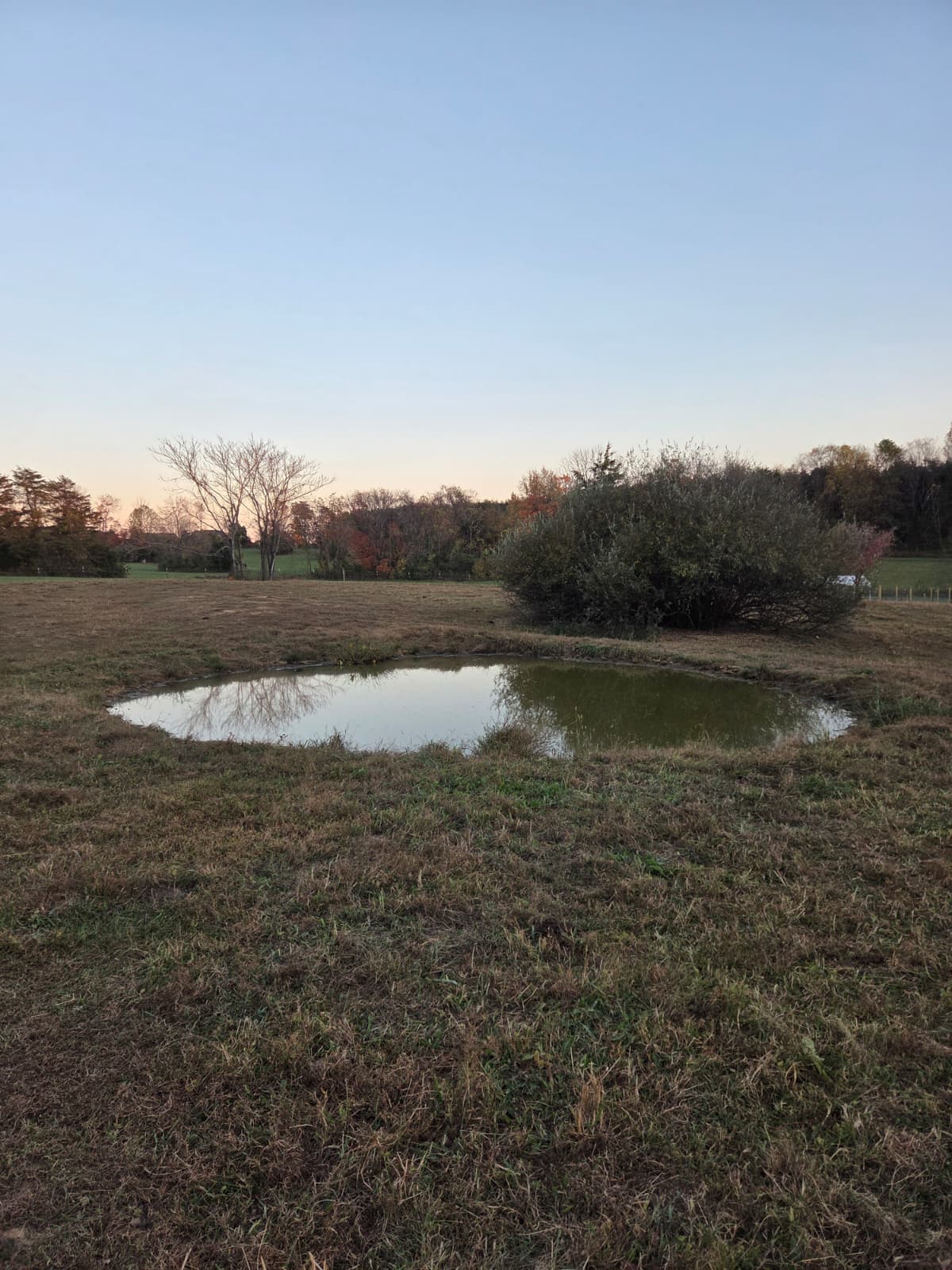 Ponds, Farm & Property Improvements