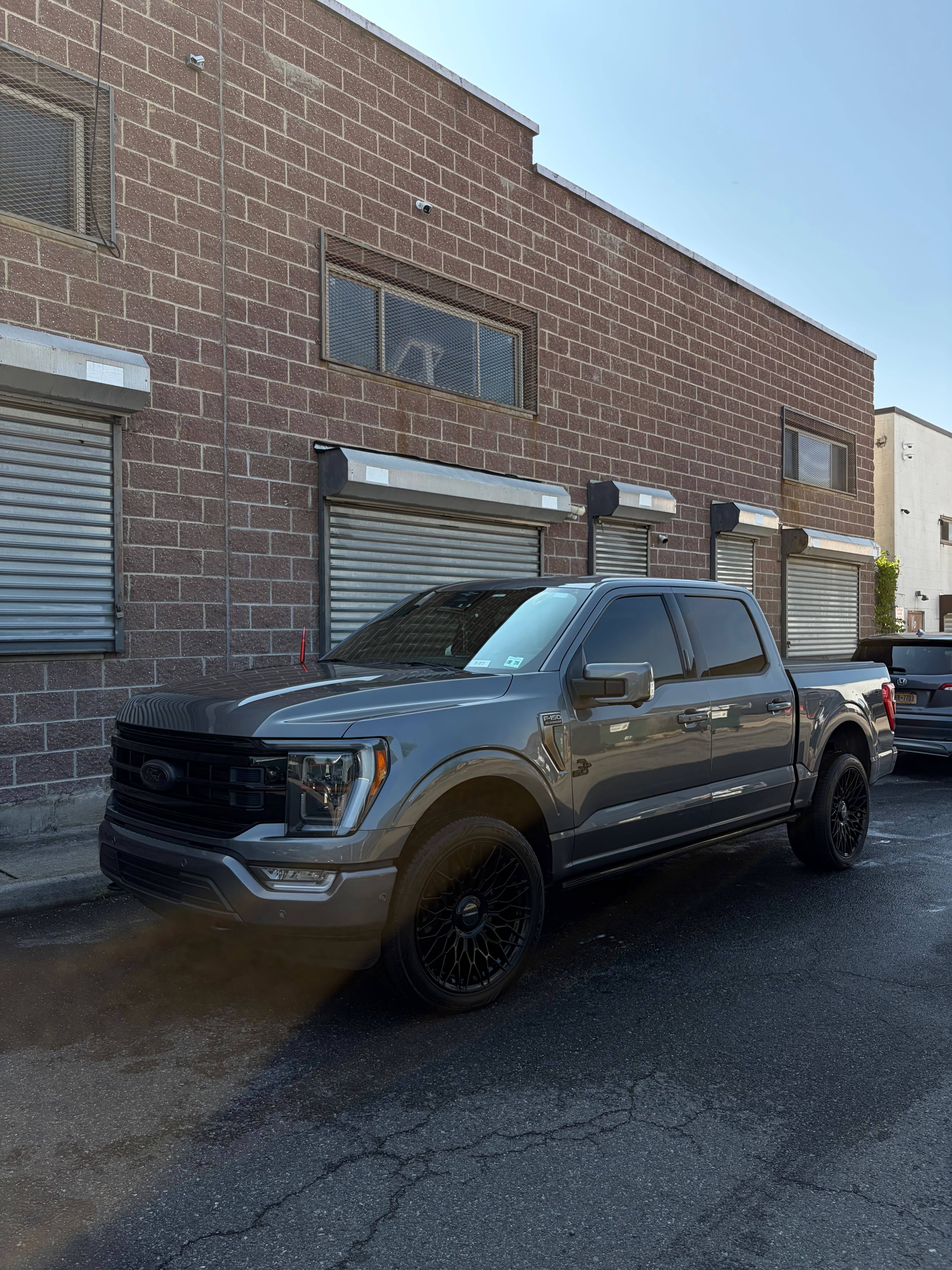 Ford F-150 Platinum (Grey Metallic)